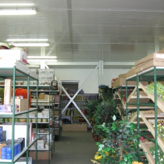 Virág nagykereskedés